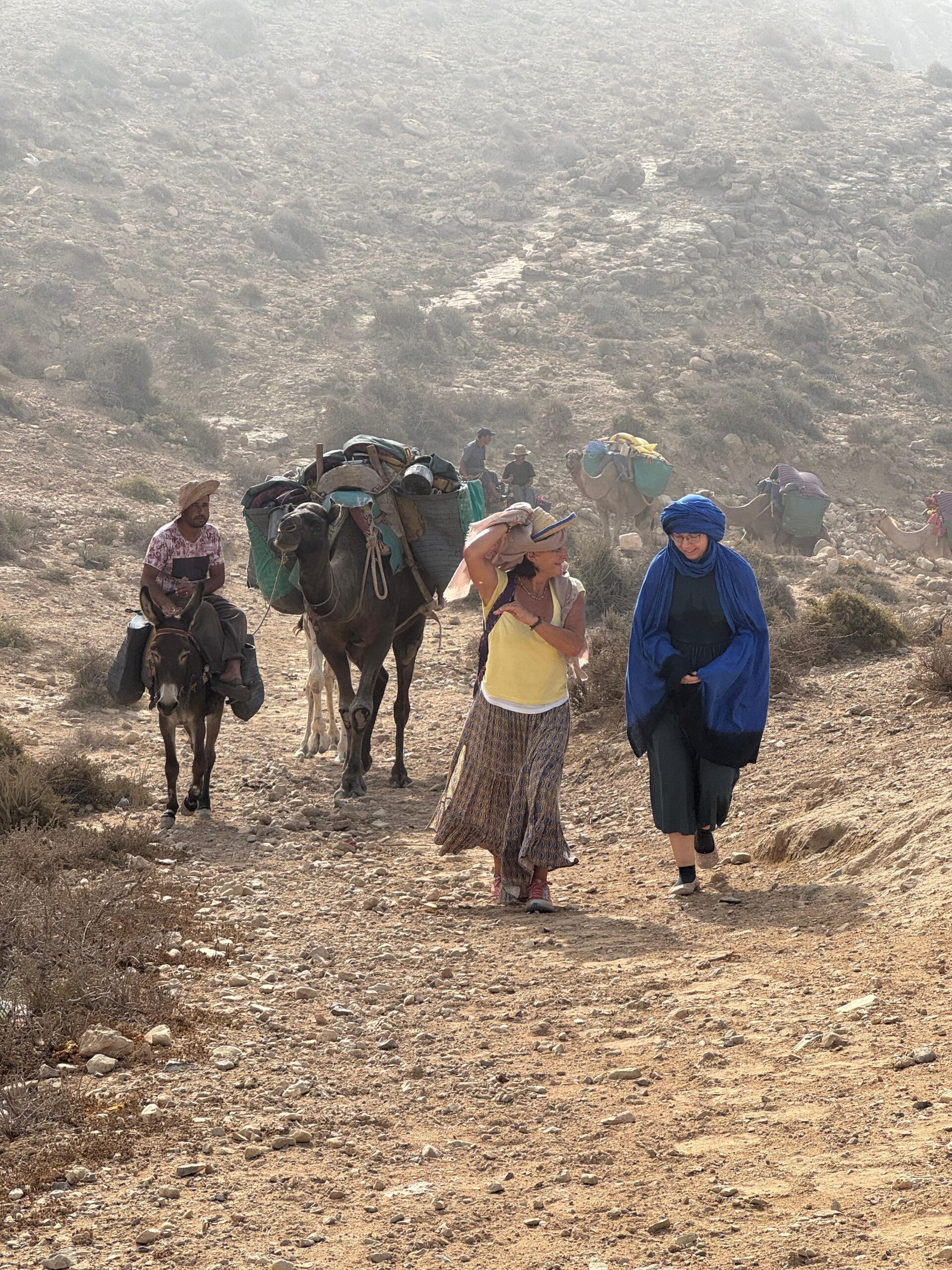IMG-20260512-WA0021